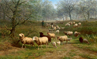Bewaldete Landschaft mit Schafherde
