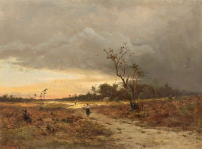 Evening Moorland Landscape