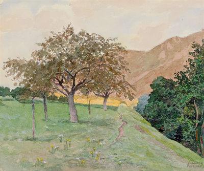 An orchard near Rossatz in the Wachau