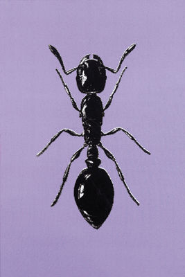 Ant
