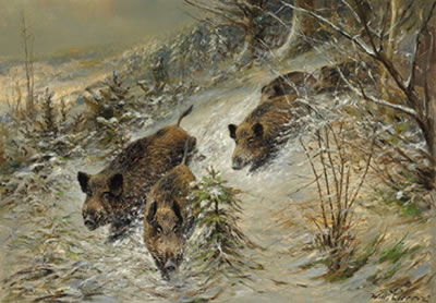 Wild Boar in a Wintry Forest