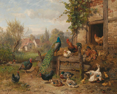 A Chicken Yard with Peacock and Turkey