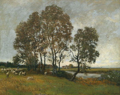 Sheep in the Pasture