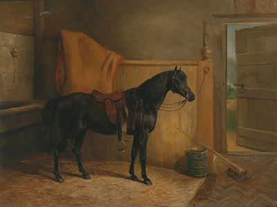 A Saddled Black Horse in the Stable