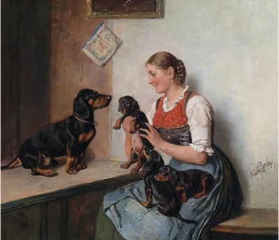 Dachshund Puppies being Admired