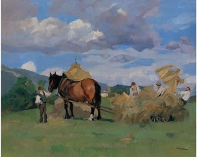 Harvesting hay