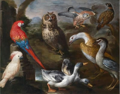 Exotic birds from the aviaries of Grand Duke Cosimo III of Tuscany: ducks, an owl, a falcon, and two parrots in a vast landscape by Bartolomeo Bimbi - Auction record, sale price, and art valuation. Compare with similar artists and explore comparable artworks.