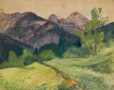 Landscape in Summer