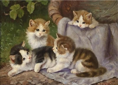 Kittens
