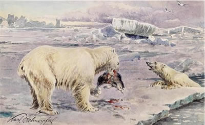 Chicken, polar baer, Grizzly, three pieces