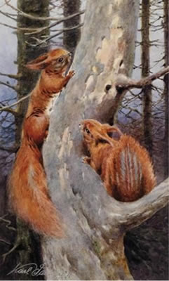 Foxes, Ulm ?, squirrel, three pieces by Karl Schnorpfeil - Auction record, sale price, and art valuation. Compare with similar artists and explore comparable artworks.