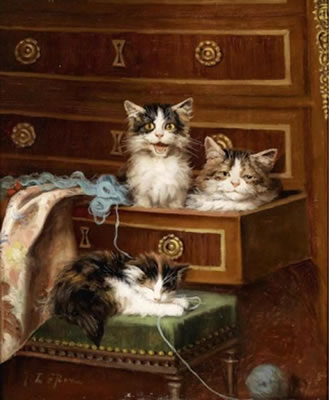Kittens