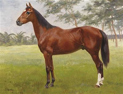 Proud Stallion by Oskar Merte - Auction record, sale price, and art valuation. Compare with similar artists and explore comparable artworks.