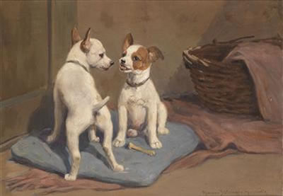 The pleading bone