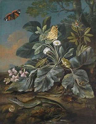 Meadow flowers, mushrooms, insects, lizards, and snails on a forest ground
