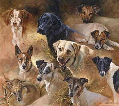Hounds