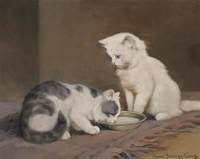 Hungry Cats