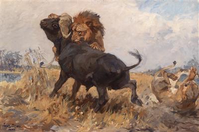 Hungry lions