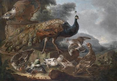 A peacock, a Eurasian jay and doves in a landscape; herons and their young by a river (a pair)