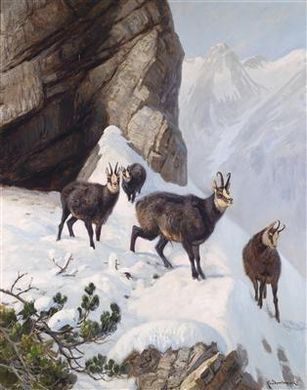 Chamois in the High Mountains by Carl Ritter von Dombrowski - Auction record, sale price, and art valuation. Compare with similar artists and explore comparable artworks.