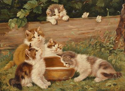 Kittens and Butterflies