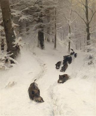 Herd of Wild Boar in a Winter Woodland