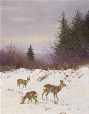 Deer in a Winter Woodland