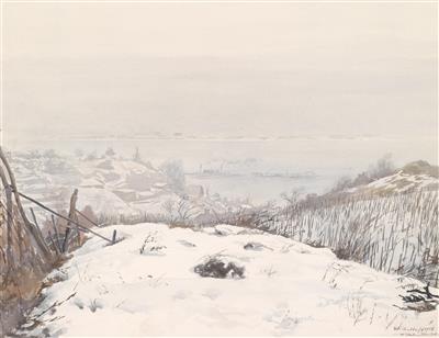 A view over the Danube seen from Eichenhof by Wilhelm Ulrich - Auction record, sale price, and art valuation. Compare with similar artists and explore comparable artworks.