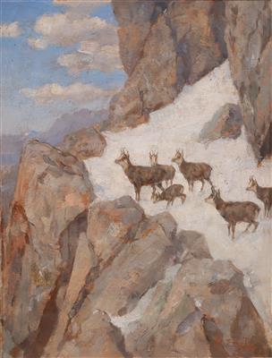 Chamois in the High Mountains