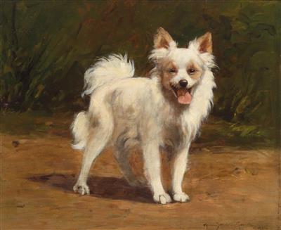 The Pomeranian