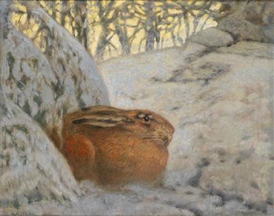 Hare in the Snow