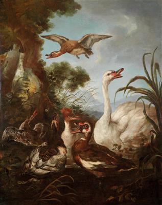 Waterfowl on the banks of a river
