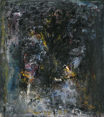 HET VERRE EN HET NABIJE (1991)