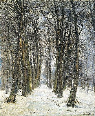 Le bois sous la neige