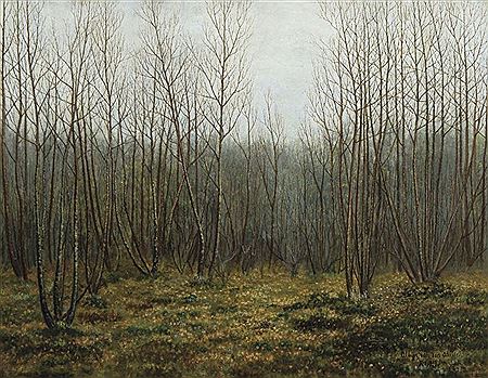 Paysage boisé (décembre 1913)