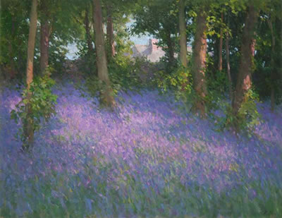 Bluebells, Belvoir Park