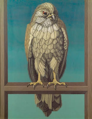 Kestrel
