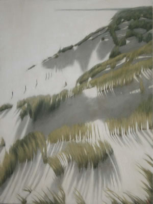 THE DUNES
