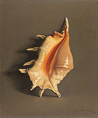 Le coquillage
