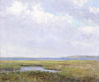 Nantucket Marshes