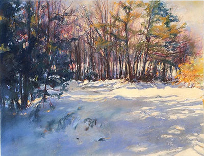 Winter Spectrum-Nauset Beach Treeline by Jan Selman - Auction record, sale price, and art valuation. Compare with similar artists and explore comparable artworks.