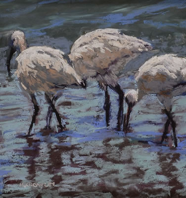 Beach Walkers