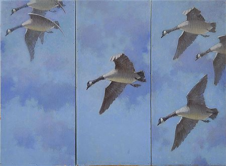 Triptych: Three geese in flight