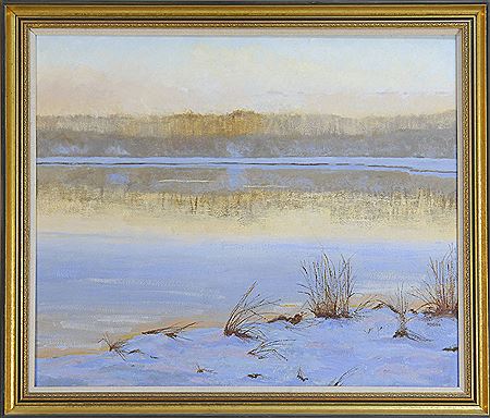 Cape Cod marsh in winter