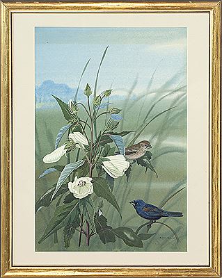 "No. 1217 - Blue Grosbeak"