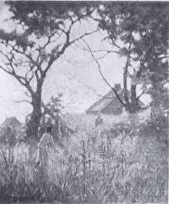Arthur Musgrave - artist photo