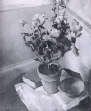 Floral Still Life