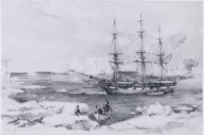 American Whaler in Antarctic Waters