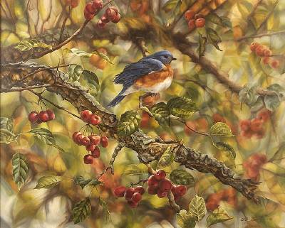 Afternoon in a Crab Tree