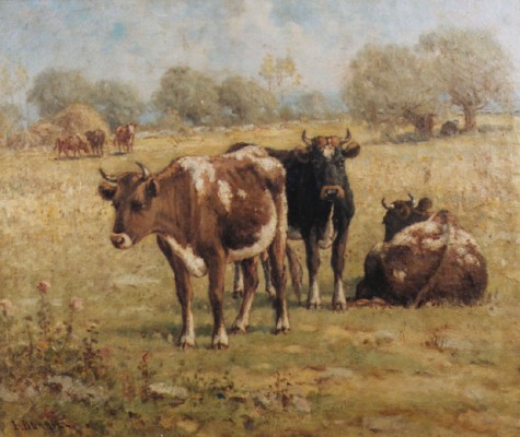 Cows in a Pasture